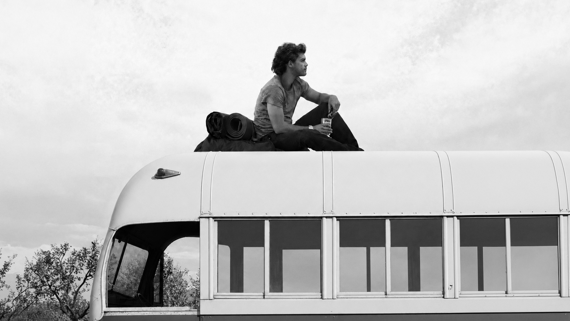 Into the Wild